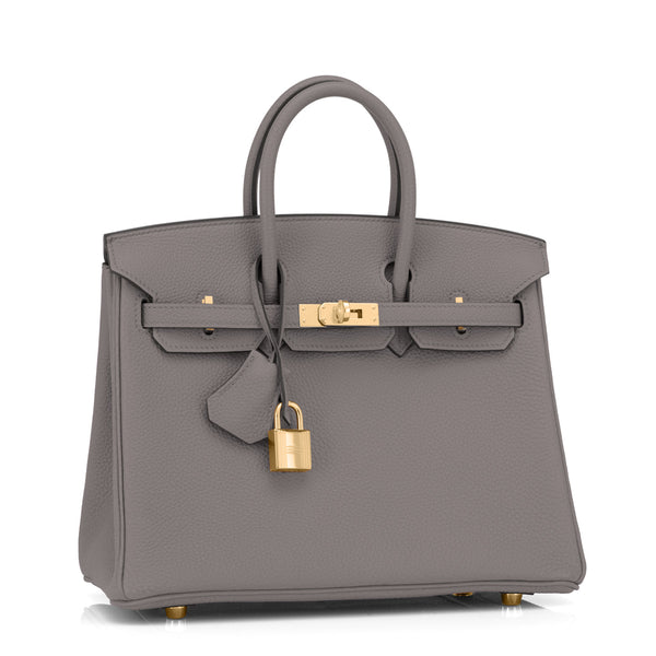 Etain 25cm Baby Birkin Togo Gold Hardware - Chicjoy