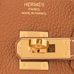 Hermes Gold Birkin 25 Togo Gold Hardware Bag