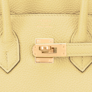 Hermès HERMES BIRKIN 35 Jaune Poussin Yellow Leather ref.171255 - Joli  Closet