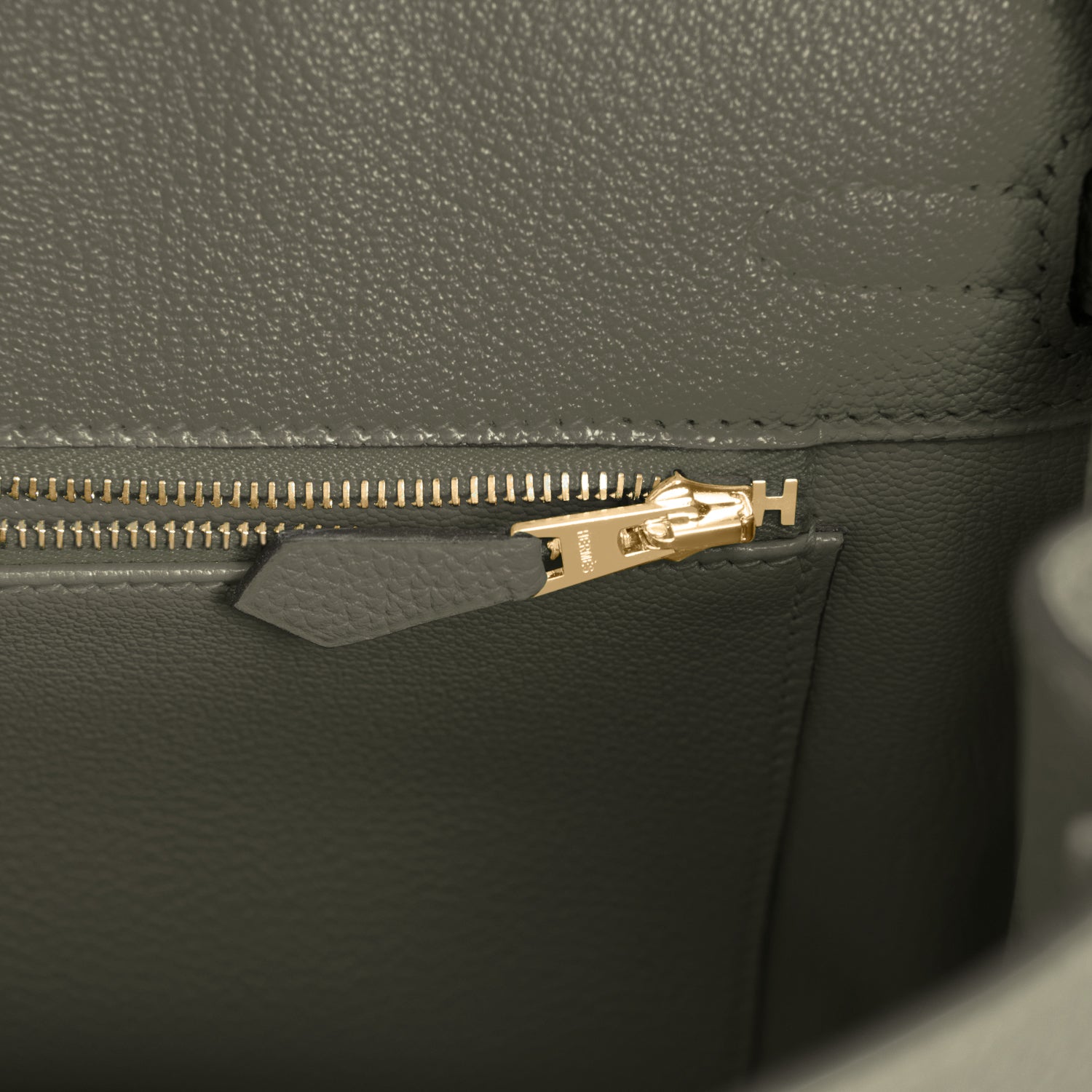 Hermes Birkin 25 Bag Vert Rousseau Togo Gold Hardware • MIGHTYCHIC